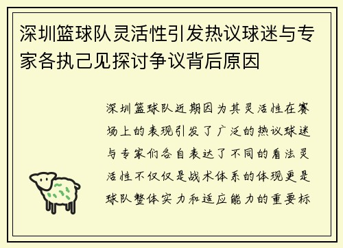深圳篮球队灵活性引发热议球迷与专家各执己见探讨争议背后原因