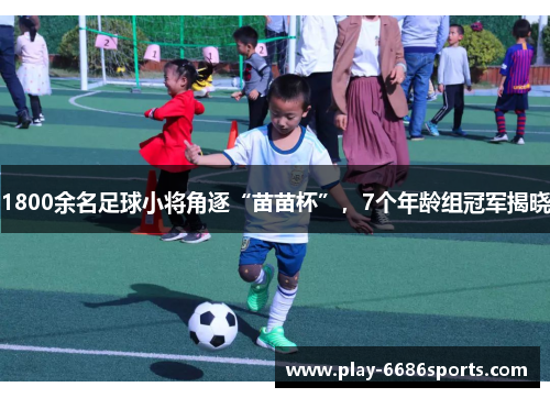 1800余名足球小将角逐“苗苗杯”，7个年龄组冠军揭晓